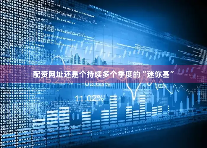配资网址还是个持续多个季度的“迷你基”