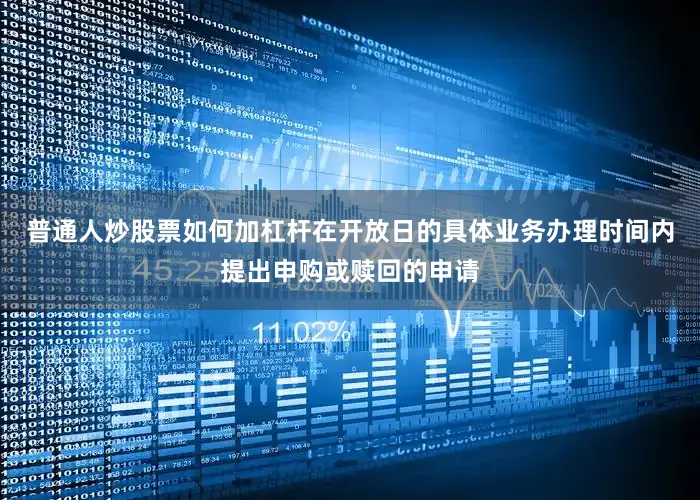 普通人炒股票如何加杠杆在开放日的具体业务办理时间内提出申购或赎回的申请
