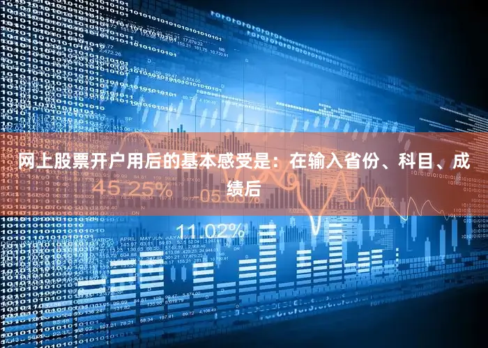 网上股票开户用后的基本感受是：在输入省份、科目、成绩后