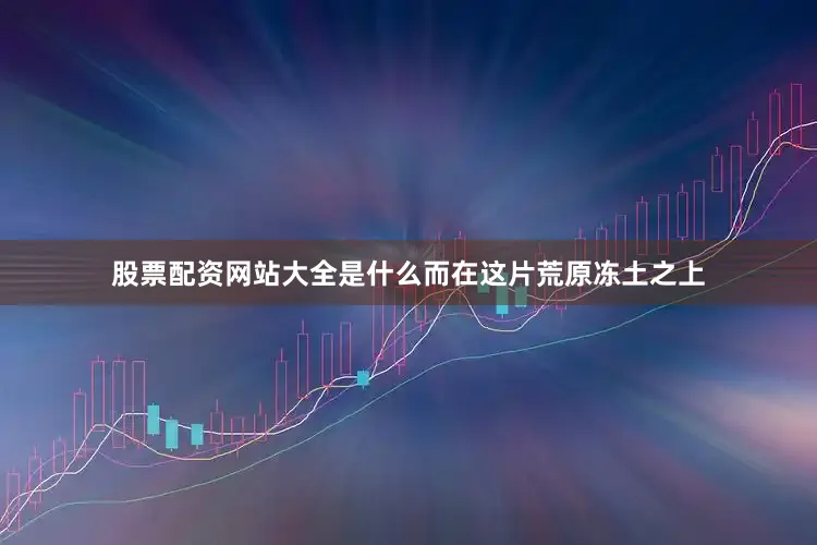 股票配资网站大全是什么而在这片荒原冻土之上