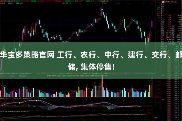 华宝多策略官网 工行、农行、中行、建行、交行、邮储, 集体停售!
