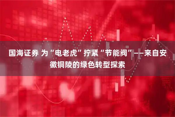 国海证券 为“电老虎”拧紧“节能阀”——来自安徽铜陵的绿色转型探索