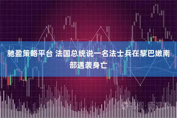 驰盈策略平台 法国总统说一名法士兵在黎巴嫩南部遇袭身亡